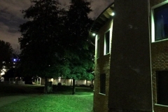 Night-view-green-hue