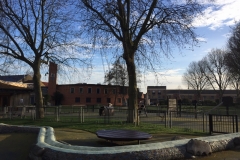 View-from-playground